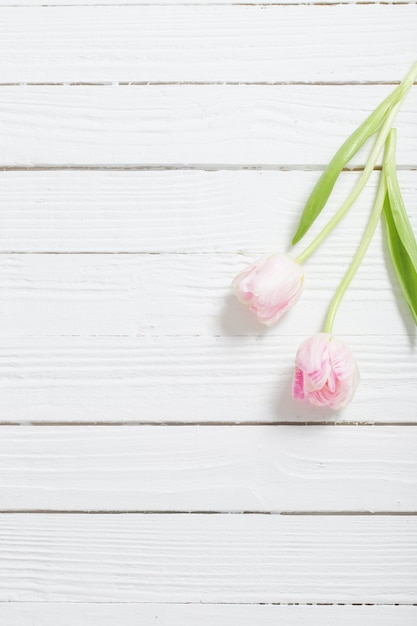 Deux tulipes sur bois blanc