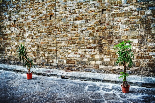 Deux usines au bord de la rue avec un vieux mur de briques en arrière-plan à Florence Italie