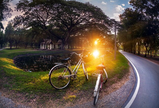 Deux vélos au parc en Thaïlande