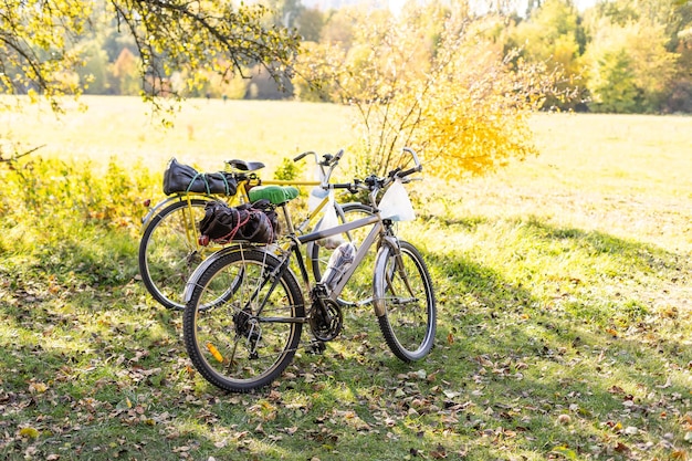 Deux vélos debout sur des feuilles d'automne couvertes