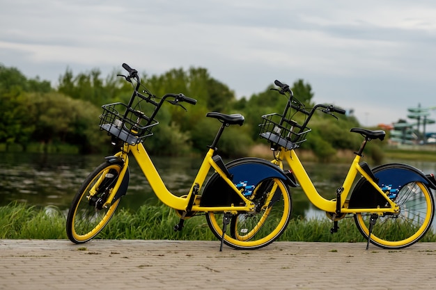 Deux vélos de ville jaunes au bord du lac.