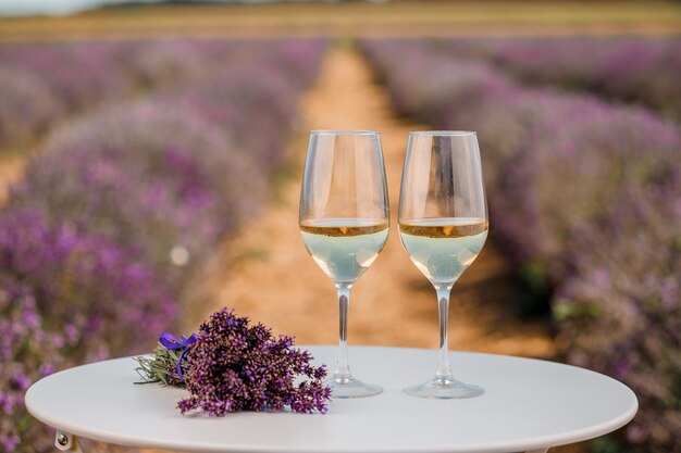 Deux verres de vin blanc dans un champ de lavande en Provence Fleurs violettes en arrière-plan