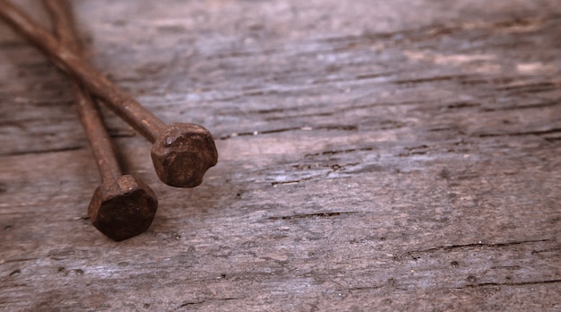 Deux vieux clous rouillés reposent sur un bois