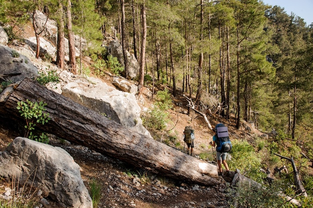 Photo deux voyageurs avec des sacs à dos en randonnée dans les bois