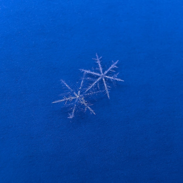 Deux vrais macro flocons de neige sur fond bleu