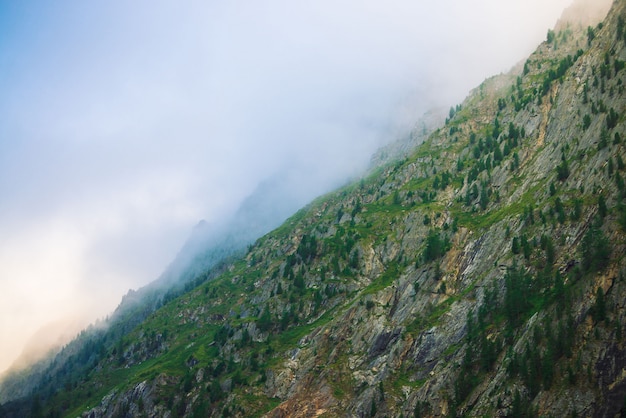 Diagonal à flanc de montagne avec forêt dans le brouillard du matin se bouchent. Montagne géante dans la brume. Le soleil tôt brille à travers la brume. Temps couvert au-dessus des rochers. Paysage de montagne atmosphérique nature majestueuse.