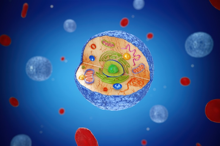 Photo diagramme interne structure de la vue microscopique des cellules humaines sur fond bleu. rendu 3d