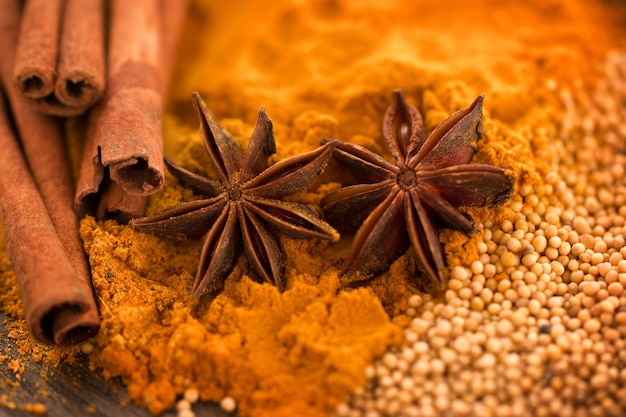 Différentes épices Bâtons de cannelle graines de moutarde à l'anis étoilé et poudre de curcuma Macro