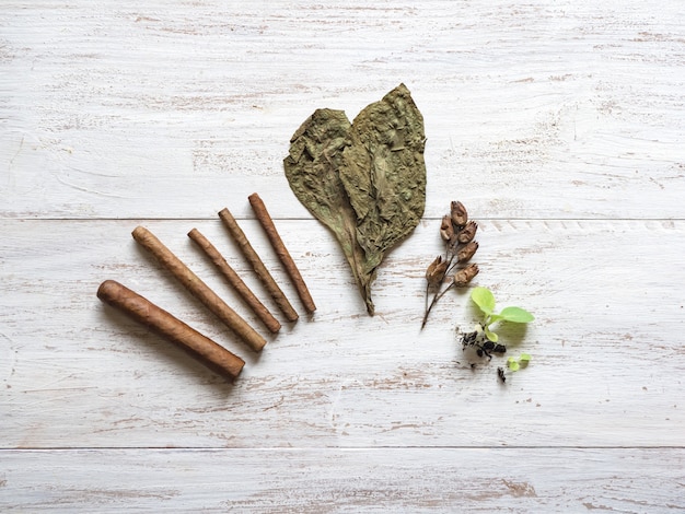 Différentes étapes de la production de cigares. Les cigares finis, les feuilles de tabac, les germes de tabac et les graines sont disposés sur une table en bois.