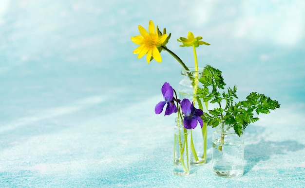 Différentes fleurs dans de petites bouteilles en verre sur fond bleu