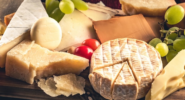 Différentes sortes de fromages pour une alimentation gastronomique