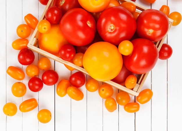 Différentes tomates sur table blanche, vue de dessus