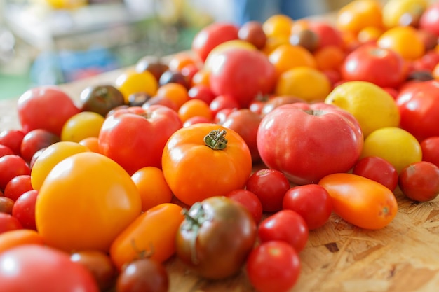 Différentes variétés de tomates sur une table en bois