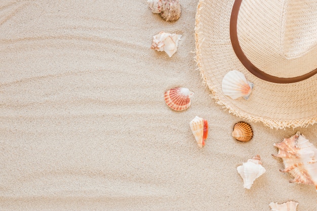 Différents Coquillages Avec Chapeau De Paille Sur Le Sable