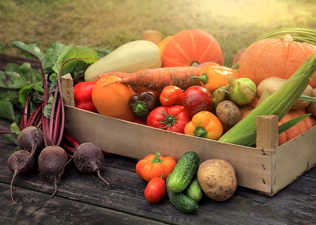 Différents légumes et fruits multicolores dans un panier debout sur la planche de bois