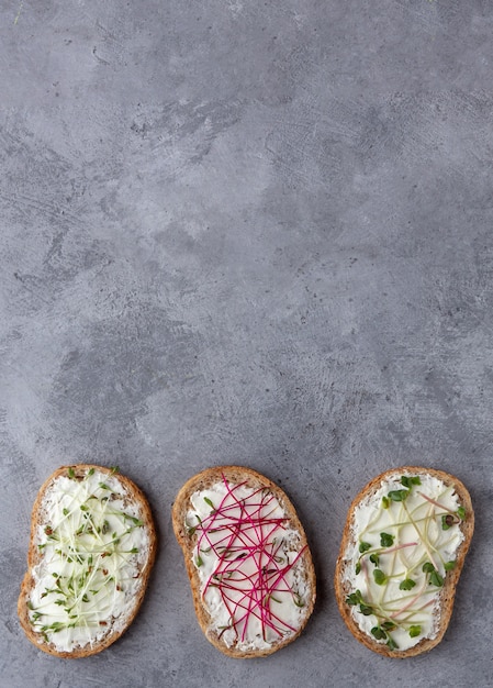 Différents micro-verts sur des sandwichs avec du pain aux grains sur un fond de béton
