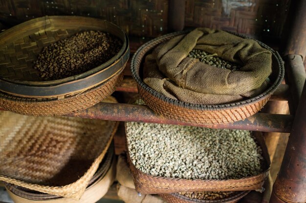 Différents types de grains de café dans les assiettes