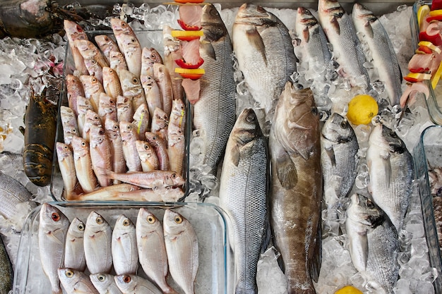 Différents types de poissons de mer crus frais sur glace