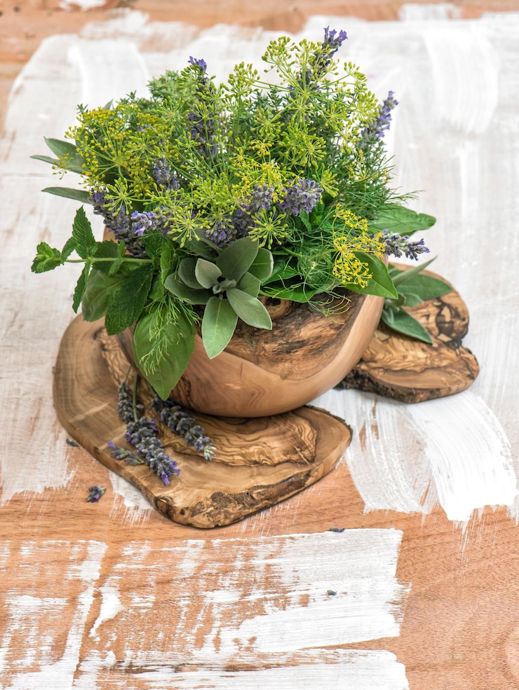 Photo dill thym sdill sauge lavande menthe basilic nourriture saine herbes et épices