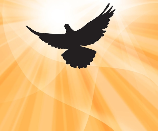 Photo dimanche de la pentecôte. arrière-plan de la pentecôte avec colombe volante et lumière