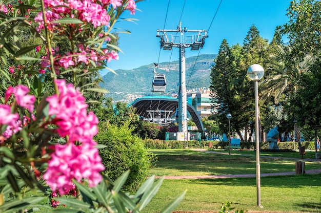 Dinde. Téléphérique à Alanya et les fleurs roses de laurier-rose.