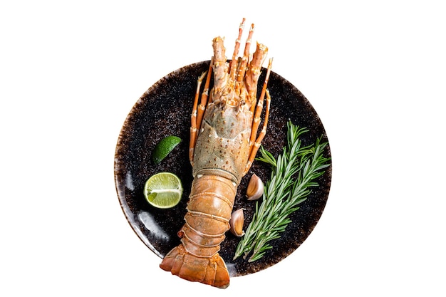 Dîner gastronomique avec langouste ou écrevisses de mer sur une assiette isolé sur fond blanc