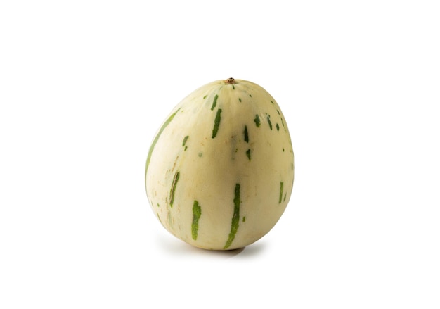 Dino melon sur fond blanc isolé