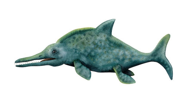 Photo dinosaure marin vert bleu foncé ichthyosaur natation illustration aquarelle de dauphin antique