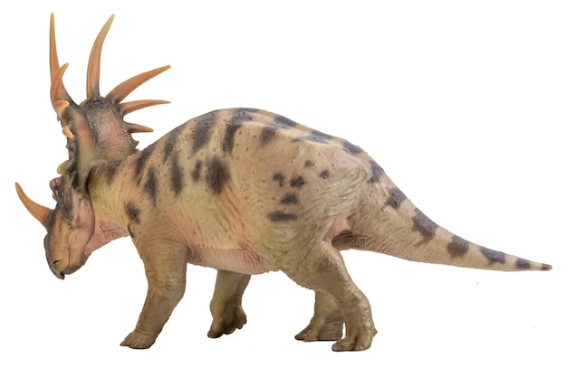 Dinosaure Styracosaurus sur fond isolé