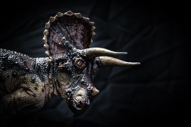 Le dinosaure tricératope dans le noir