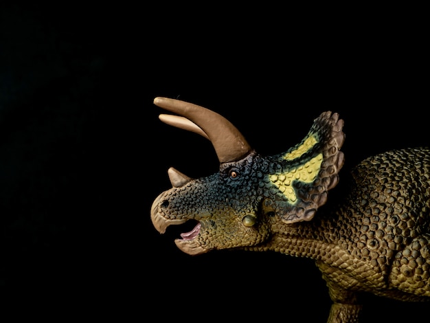 Dinosaure Triceratops sur fond noir