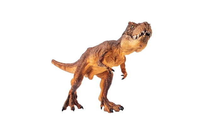 Dinosaure Tyrannosaurus rex sur fond d'isolement