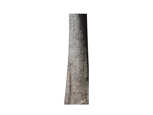 Dipterocarpus alatus est utilisé comme bois et en médecine traditionnelle pour les rhumatismes et les maladies du foie