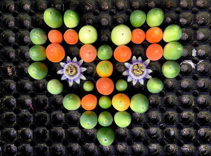 Photo directement au-dessus, des fleurs et des fruits disposés en forme de cœur