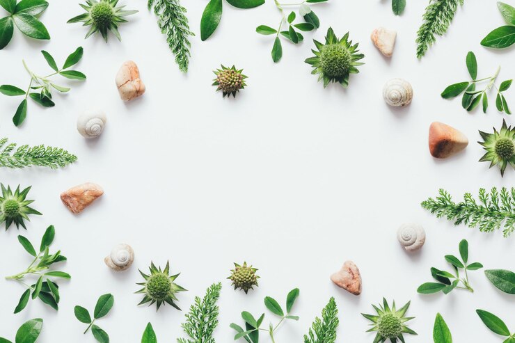 Photo directement au-dessus des herbes sur la table