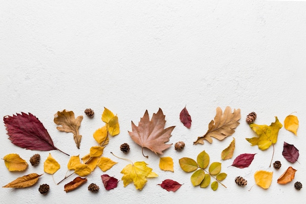 Directement au-dessus de la photo de feuilles sur le mur