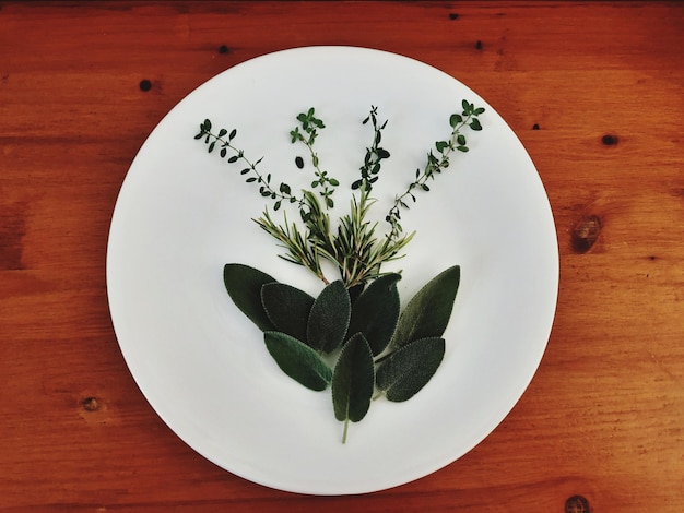 Photo directement au-dessus de la photo d'une plante en pot sur la table