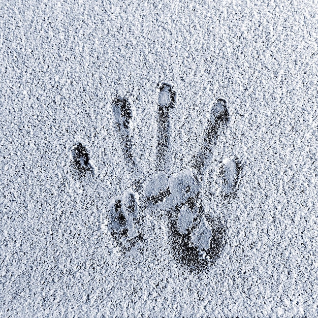 Photo directement au-dessus de la prise de vue de l'empreinte de la main sur la neige