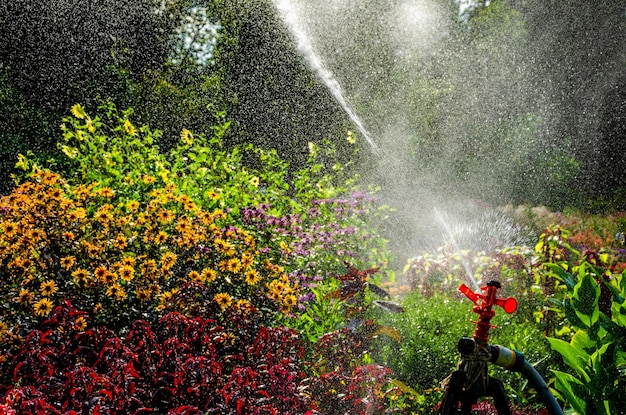 Le dispositif d'arrosage pulvérise de l'eau dans le jardin en été.