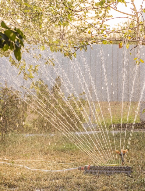 Dispositif De Jardin D'irrigation Système D'irrigation Technique D'arrosage  Dans Le Jardin