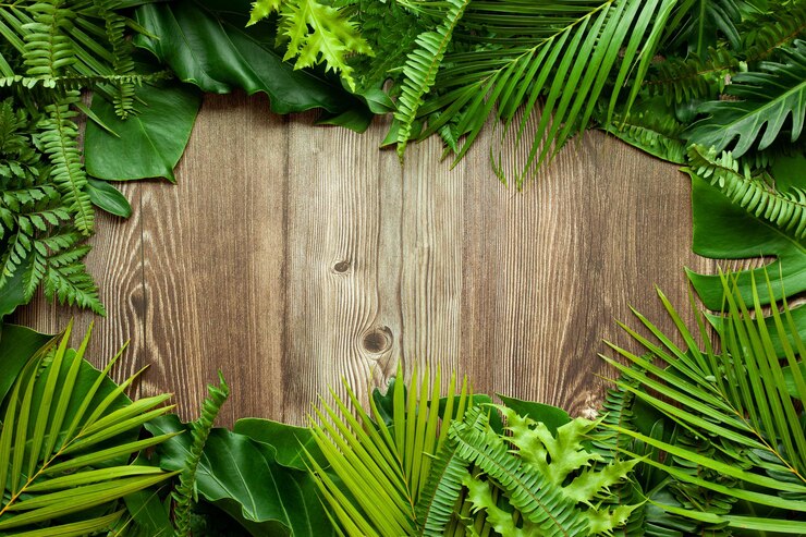 Photo disposition créative de feuilles tropicales sur fond de table en bois