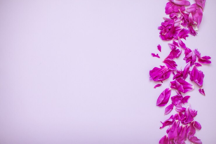 Disposition pivoine fuchsia