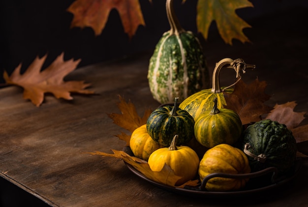 Divers concept d'automne de citrouilles décoratives