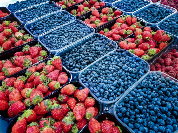 Divers fruits frais dans des plateaux en plastique sur l'étal du marché