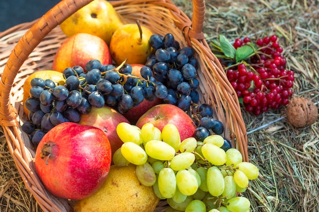 Divers fruits et légumes dans le panier.