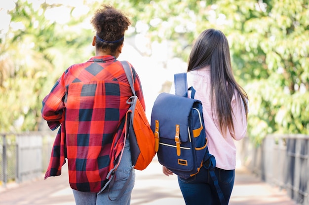 Divers groupes d'élèves marchant ensemble à l'école Diversité dans l'éducation Diversité ethnique