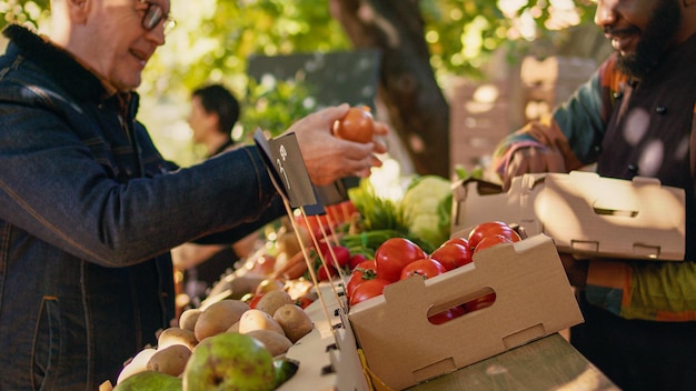 Divers hommes parlent des produits du marché des agriculteurs sur le comptoir, regardant des produits bio sains sur le stand. Homme âgé et propriétaire d'un stand local choisissant des fruits et légumes écologiques biologiques.