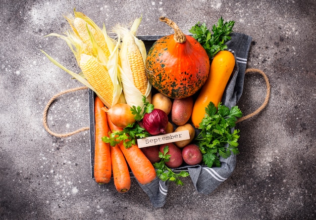 Divers légumes d'automne. Concept de récolte