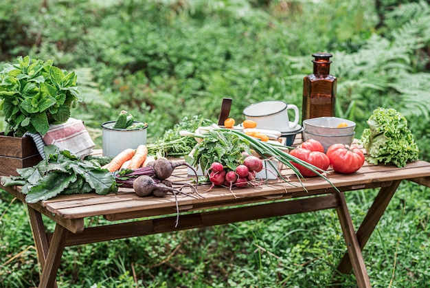 Divers légumes frais sur la table en bois. Concept alimentaire BIO.