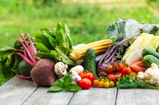 Divers légumes sur une table en bois avec espace de copie